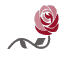 English Rose Hotels